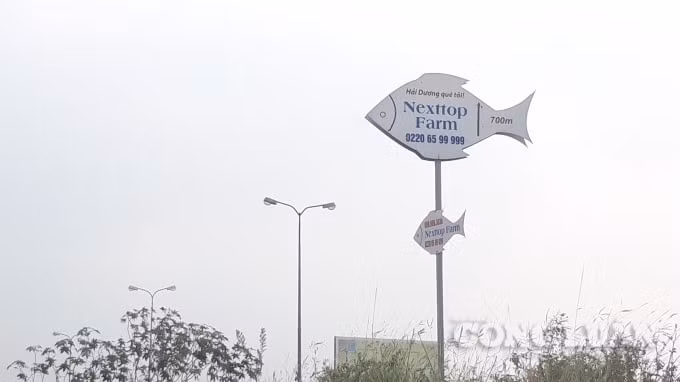 Tấm biển chỉ dẫn đường nhà hàng Nexttop Farm của Công ty Vinafes.