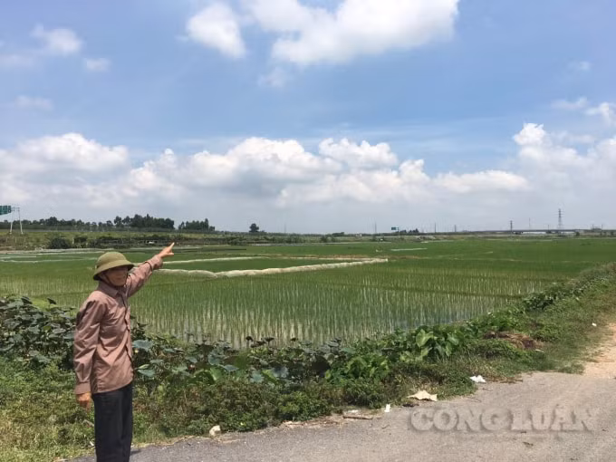 Những diện tích đất nông nghiệp của người dân xã Yên Phụ đang rơi vào diện cưỡng chế.