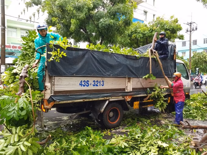 Công ty Công viên cây xanh Đà Nẵng huy động tối đa nhân lực, phương tiện cắt tỉa, thu dọn cành cây để bảo đảm giao thông.