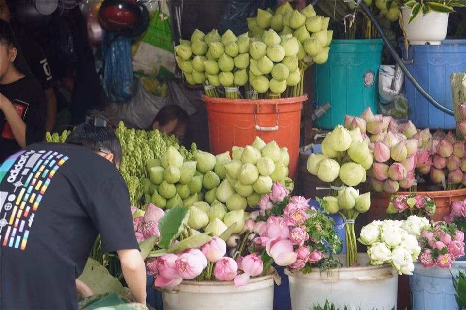 Chợ hoa Đầm Sen vốn là một trong các chợ hoa phân phối sỉ lớn nhất tại TP.HCM. Ảnh: TL