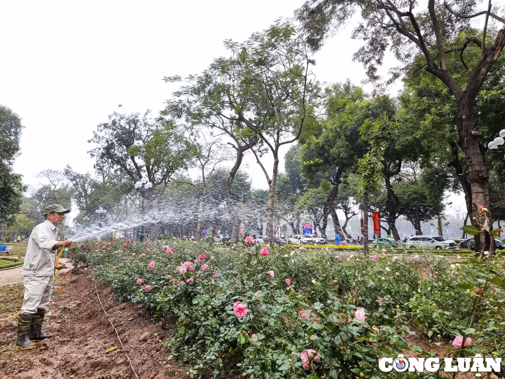 ha noi dau tu hon 886 ty dong de cai tao nang cap 3 cong vien lon hinh 1