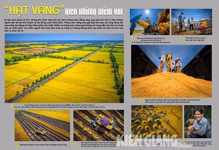 hon 2000 tac pham tham gia lien hoan anh nghe thuat dong bang song cuu long 2023 hinh 2
