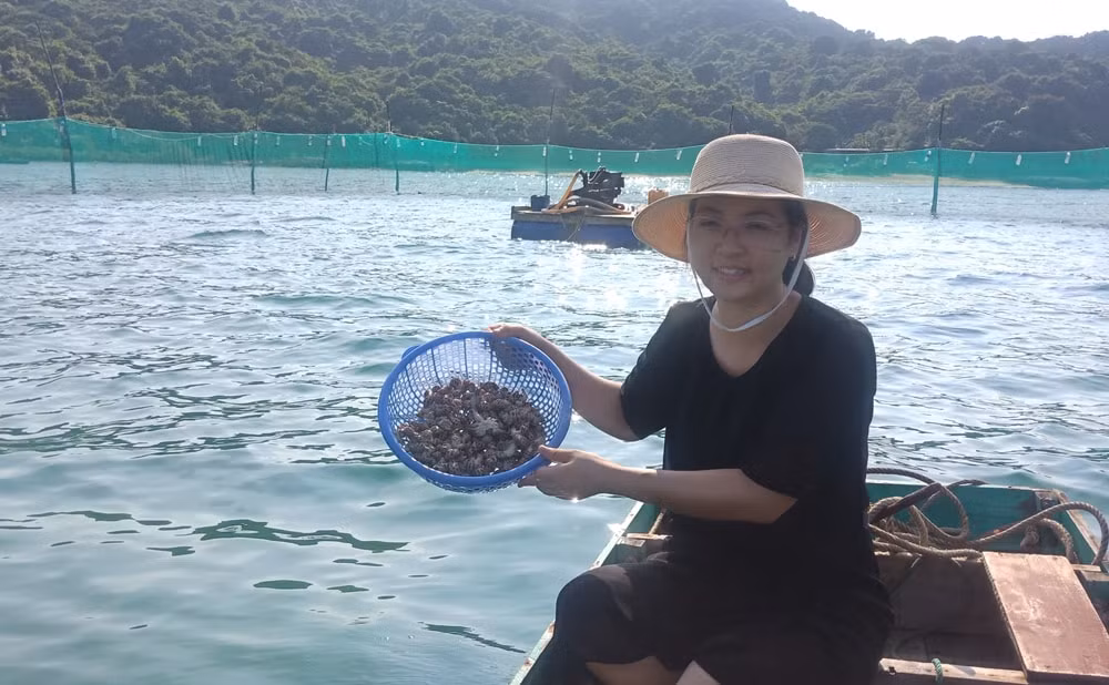 Phía sau phóng sự truyền thanh làm lay động khán thính giả