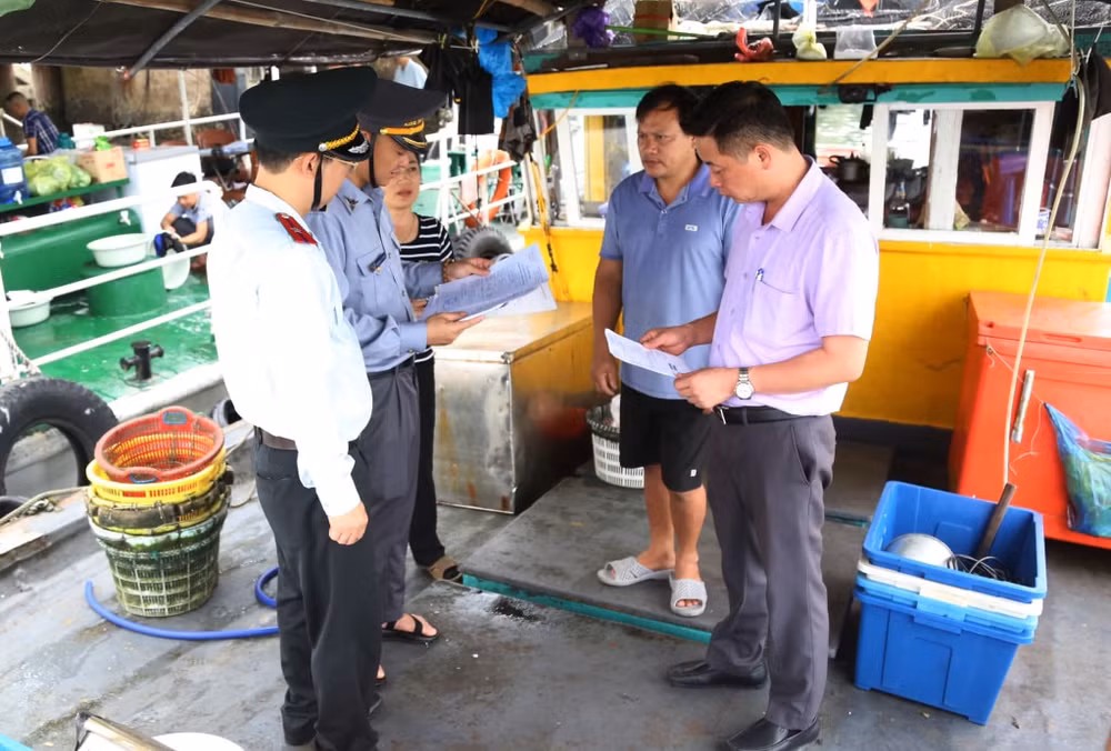 nam 2024 quang ninh co 282 truong hop vi pham trong linh vuc khai thac thuy san hinh 1
