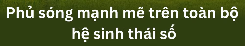 wc-17793302532492024867955.png