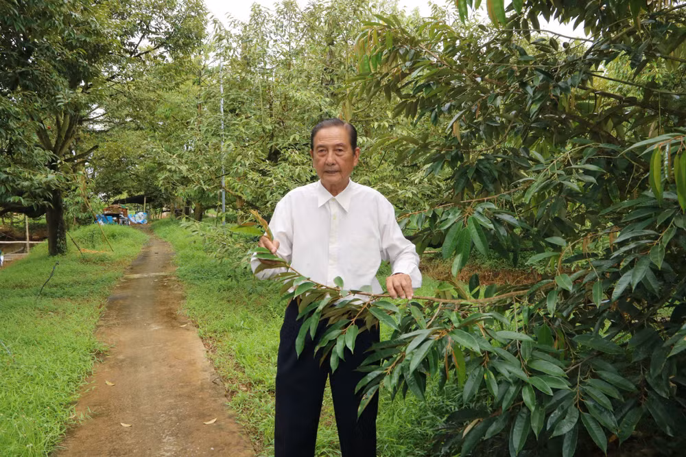 13-ong-le-van-sau-tan-binh-can-tho-2.jpg