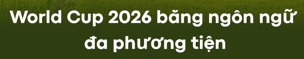 3-1779330011555736227330.png