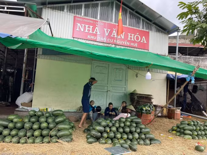 Xây dựng trái phép trên đất quy hoạch công viên cây xanh.