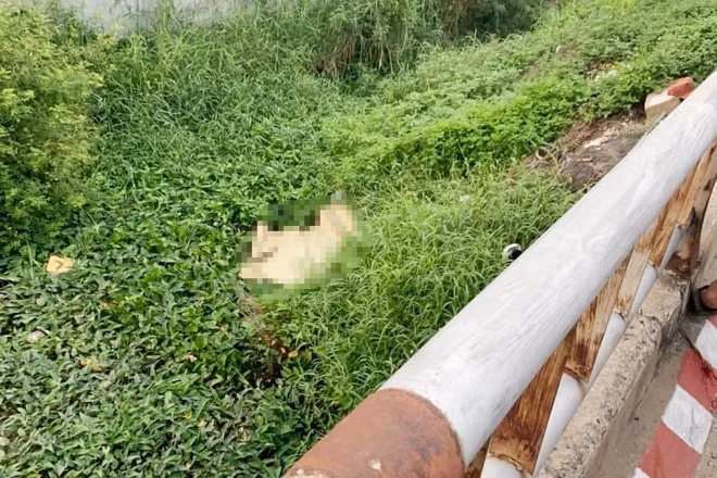 Một nam thanh niên tử vong khi rơi xuống mương nước. Ảnh: Zingnews.vn