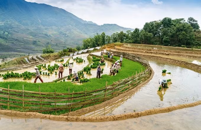 Lợi dụng nguồn nước từ trên cao đổ xuống người dân đã kiến tạo nên các khu ruộng bậc thang chỉ gieo cấy lúa được một vụ ở vùng núi cao có vùng tiểu khí hậu á nhiệt đới gió mùa.