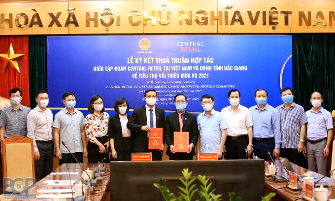 Tỉnh Bắc Giang và Tập đoàn Central Retail ký kết thỏa thuận tiêu thụ vải thiều năm 2021. Ảnh: BGP