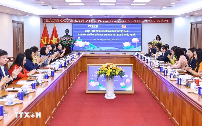 tong-giam-doc-lam-viec-voi-cac-truong-co-quan-dai-dien-viet-nam-o-nuoc-ngoai6.jpeg