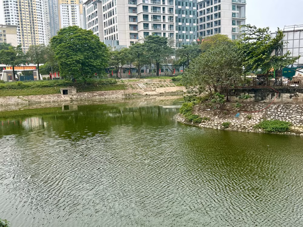 Tại đoạn sông Tô Lịch gần phố Trần Hòa (khu vực Linh Đàm), nước sông đã chuyển màu xanh, bề mặt ít rác, cho thấy dấu hiệu cải thiện môi trường sau thời gian xử lý.