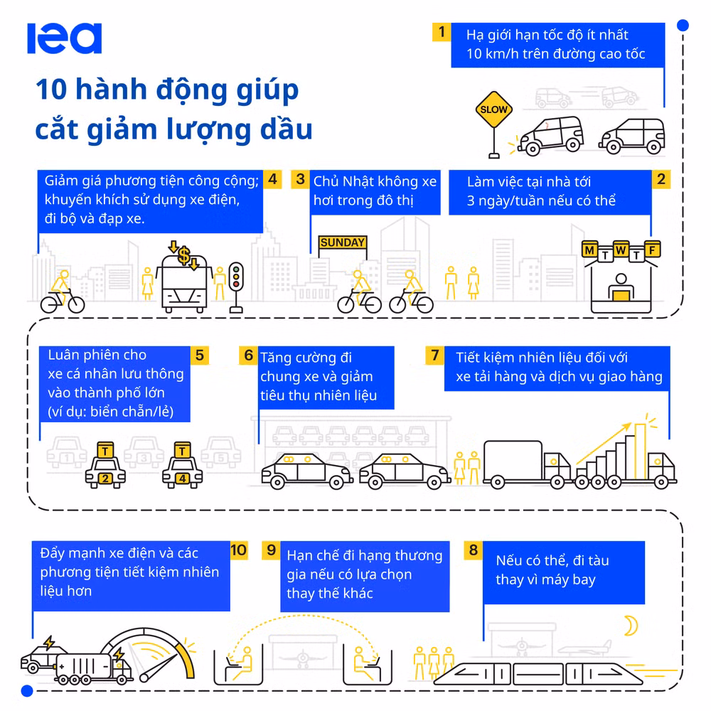 10_hanh_dong_giup_cat_giam_luong_dau.png