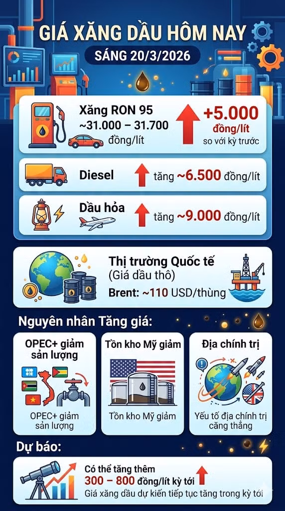 giaxangdau203.jpg