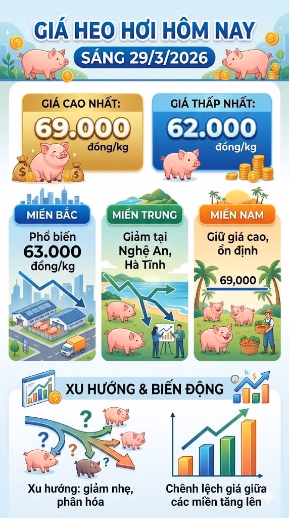 giaheohoi293.jpg