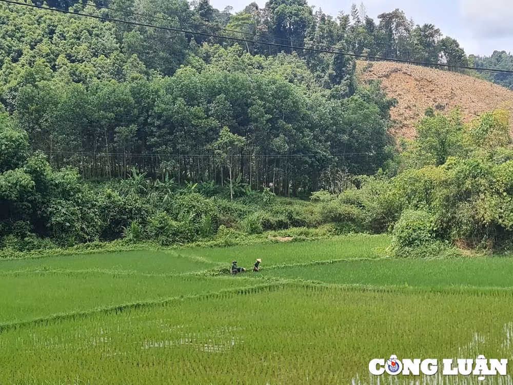 bai 4 thuc tien sap nhap phong phu can danh gia lai toan dien dua ra giai phap linh hoat hinh 5