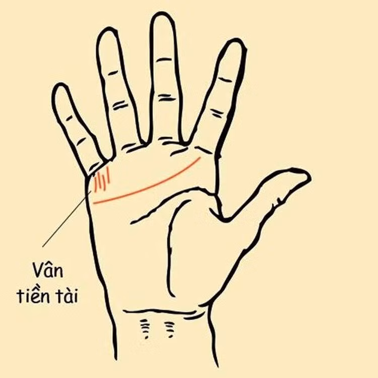 5 tuong ban tay cua nguoi phu nu giau sang phu quy hanh phuc vien man hinh 1