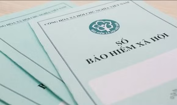 ha noi yeu cau xu ly nghiem nhung don vi no tron dong bhxh hinh 1