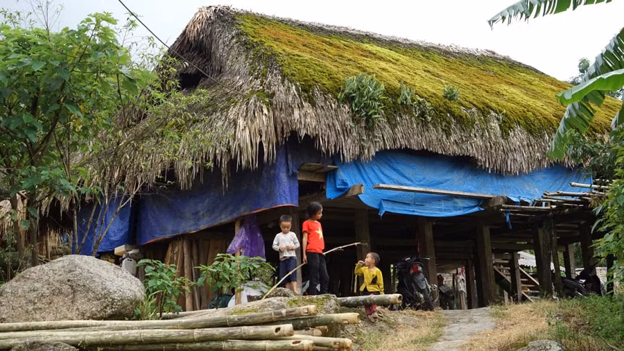 doc la nhung mai nha phu reu xanh cua dan toc dao o ha giang hinh 5
