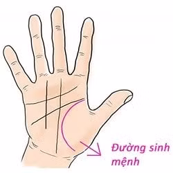 duong sinh menh du bao ve suc khoe va tuoi tho cua ban hinh 1