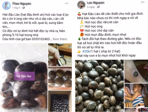 su that ve hat dau lao duoc quang cao voi cong dung than ky hut moi loai doc to hinh 2