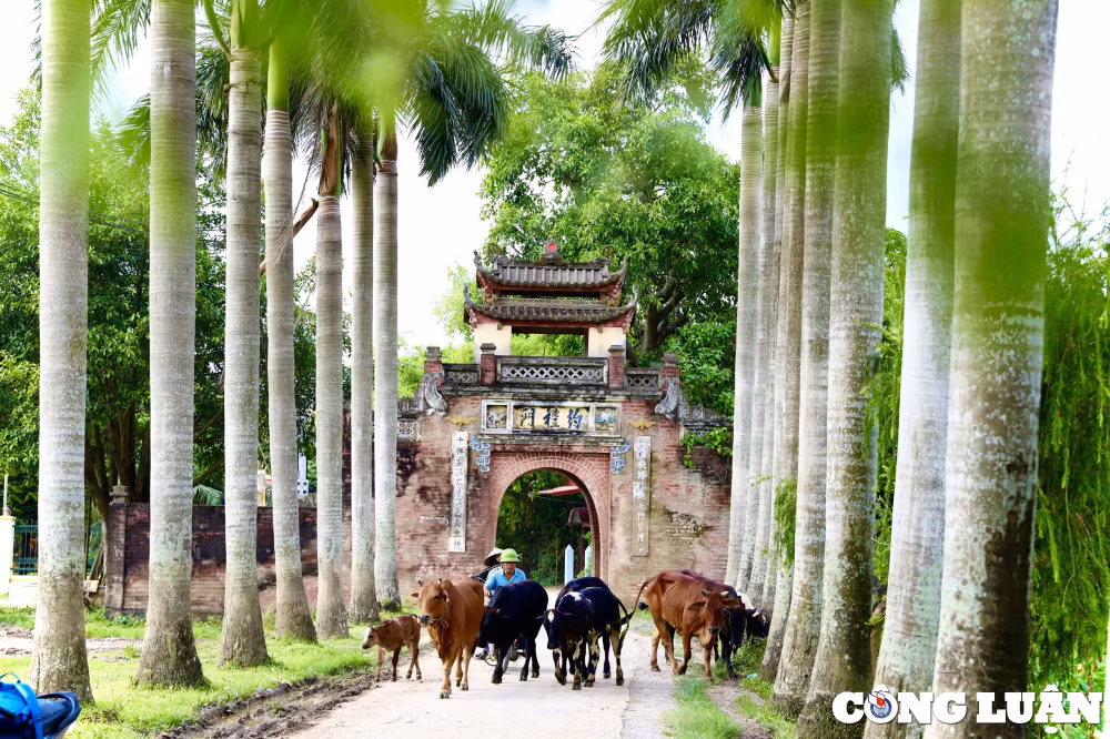 kham pha ngoi lang co ha noi giu net kien truc cua nguoi viet xua hinh 9