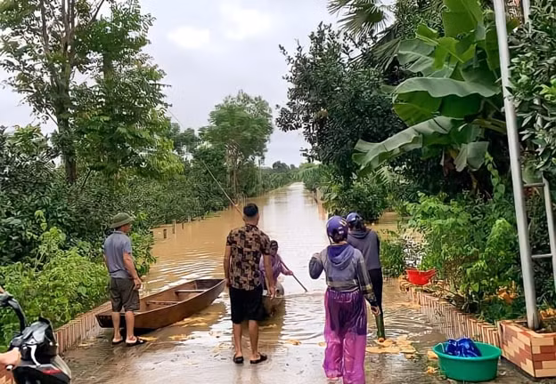 nguoi dan ha tinh dam minh trong nuoc lu thu hoach buoi phuc trach hinh 2