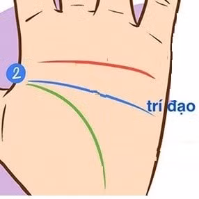 du doan ve cuoc doi ban qua nhung duong chi tay co ban hinh 1