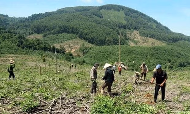 Nhiều vi phạm giao kết trong hợp đồng khoán, sử dụng đất không đúng mục đích. Nguồn: IT