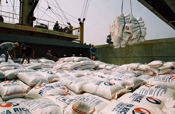 Giá gạo xuất khẩu của Việt Nam đang ở mức tương đối cao. Ảnh minh họa