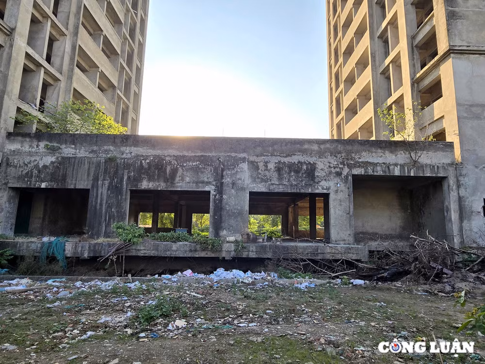 som chuyen doi khu nha o sinh vien phap van tu hiep sang nha o xa hoi tranh lang phi hinh 4