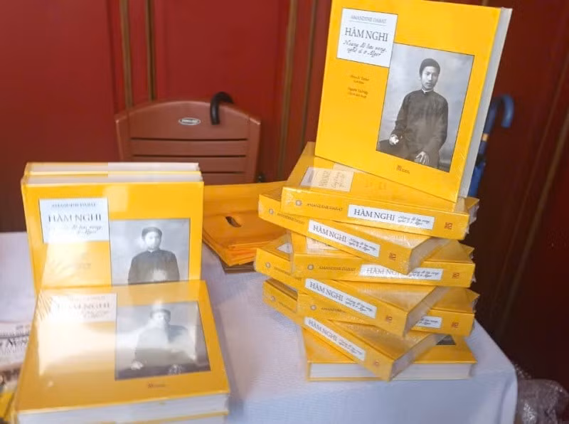 them nhung tu lieu ve nha vua ham nghi trong vai tro nguoi nghe si hinh 2