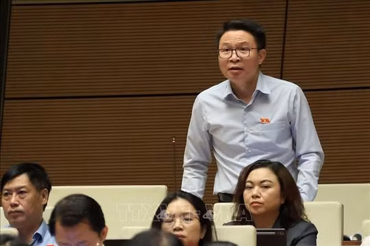 Đại biểu Quốc hội đề xuất cấm sử dụng hòa giải đối với các vụ việc bạo lực gia đình, xâm hại trẻ em