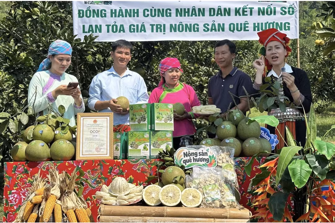 Mở đường cho kinh tế số vùng cao: Cách Báo và Phát thanh, Truyền hình Lào Cai đồng hành cùng bản làng