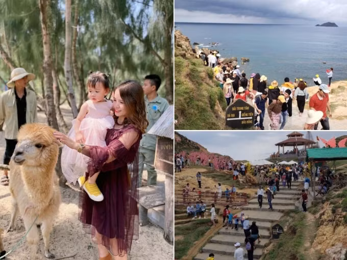 Du khách nô nức khám phá Eo Gió và FLC Zoo Safari Park trong những ngày đầu năm.