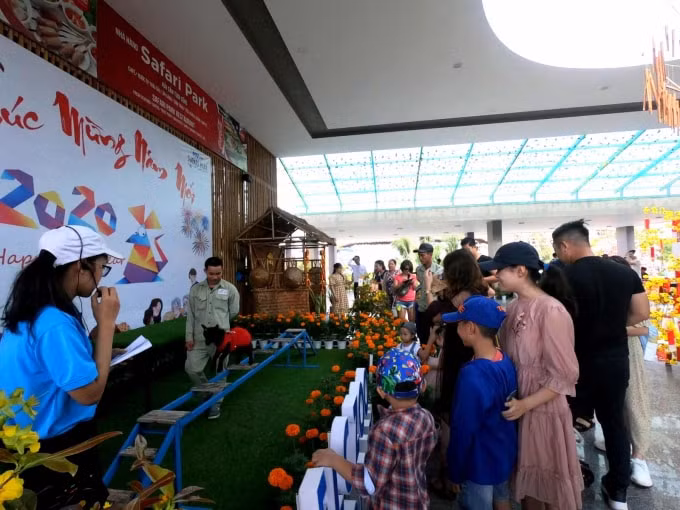 Các bạn nhỏ thích thú với trải nghiệm tuyệt vời tại FLC Zoo Safari Park.