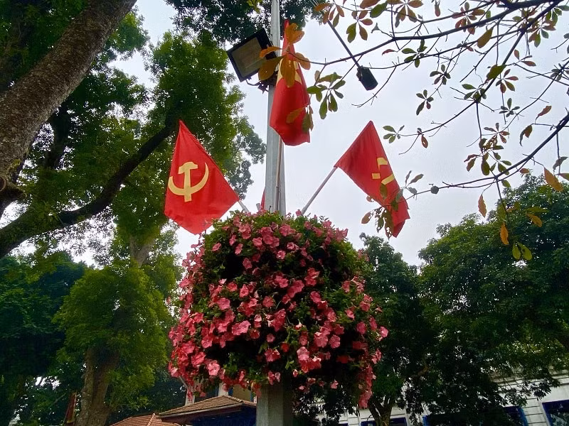 Cột đèn trên Phố Đinh Tiên Hoàng treo cờ Tổ quốc, cờ Đảng và hoa trang trí.