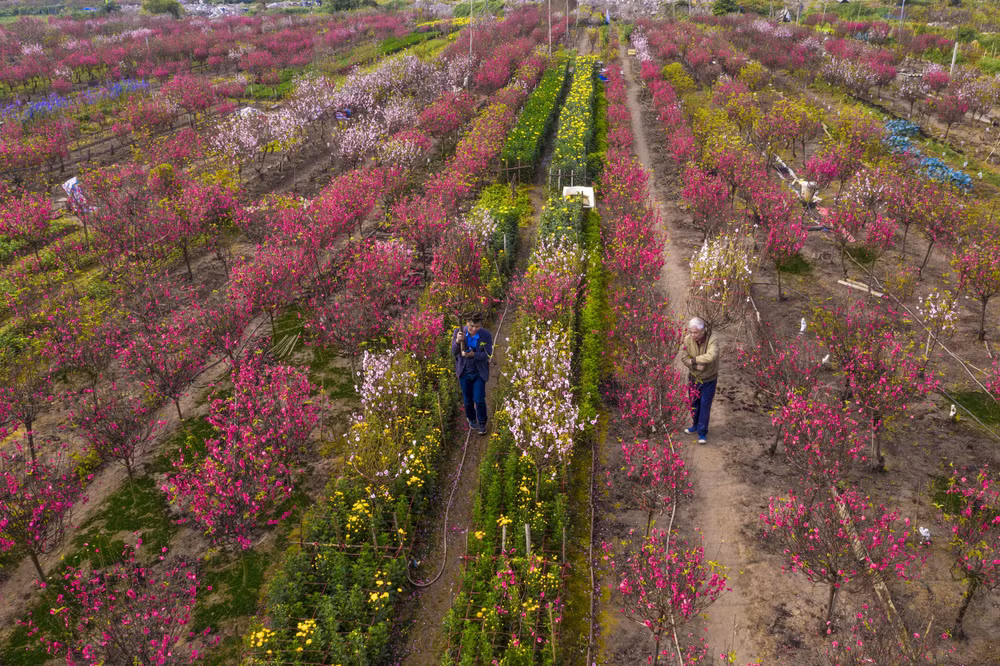 DJI_0122