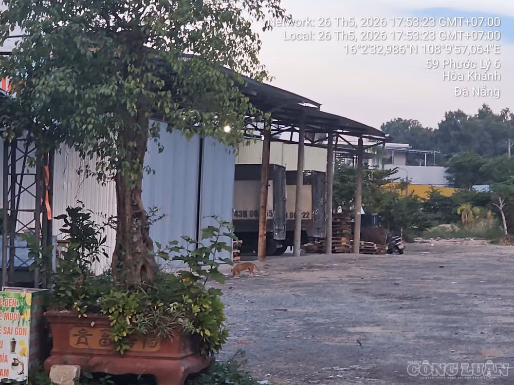 clo_br_z7870840874607-573443a376d3a097cf063b49eca5fef0.jpg