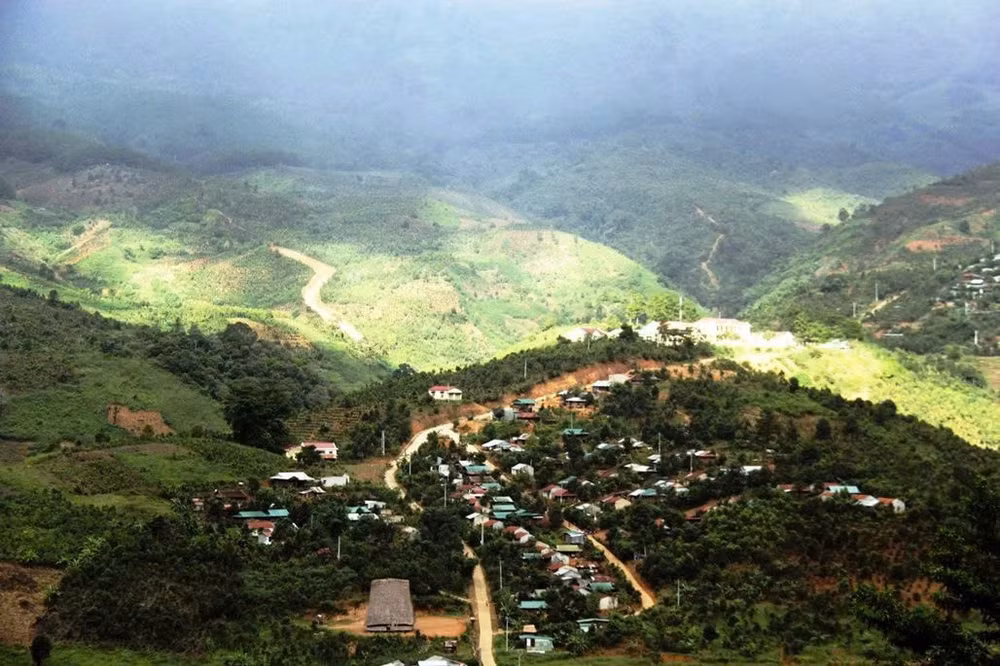 ky bi ngon nui ngoc linh noi san sinh ra loai sam quoc bao hinh 2