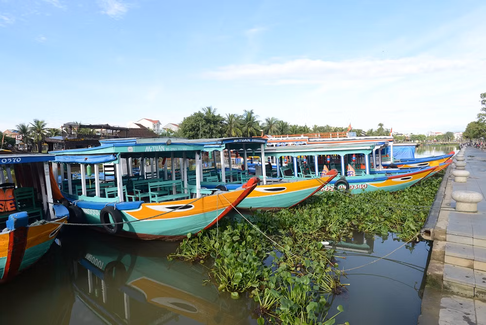 giai ma bi an hien tuong mat cua o hoi an hinh 1