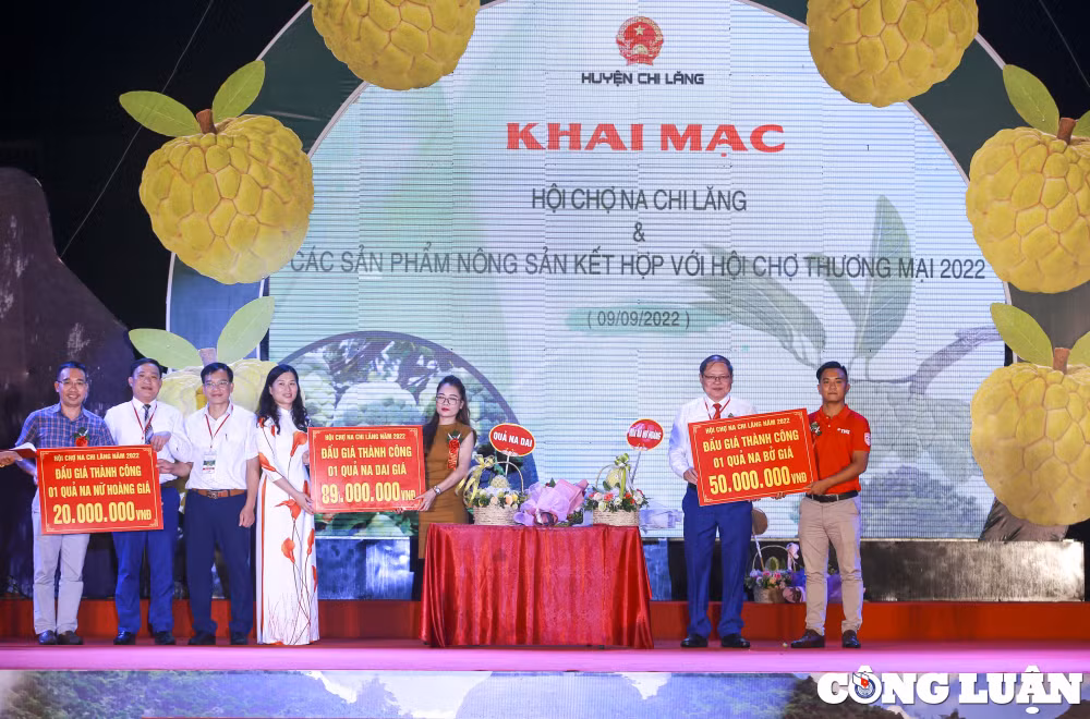 lang son mot qua na dai duoc mua voi muc gia gan 90 trieu dong hinh 17