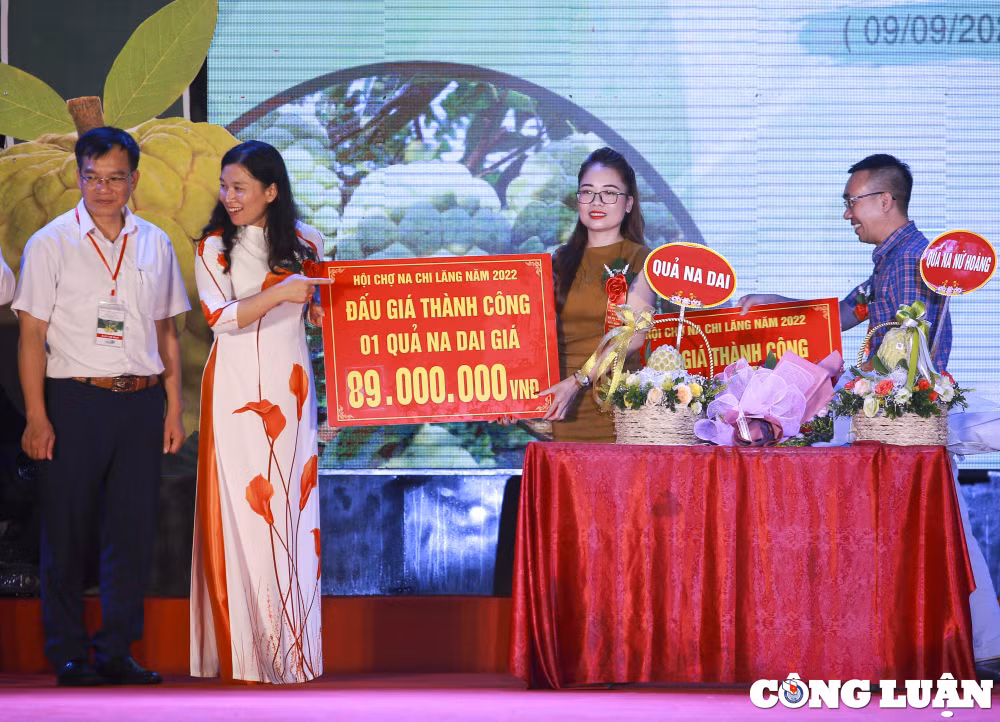 lang son mot qua na dai duoc mua voi muc gia gan 90 trieu dong hinh 2