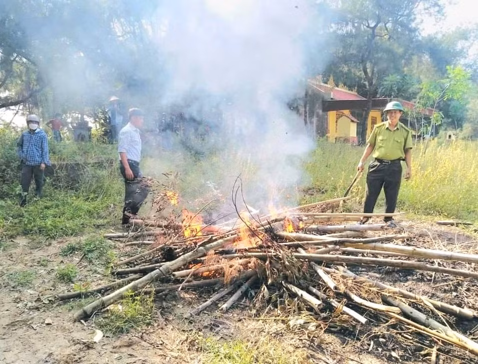 thao do hang ngan tu diem bay chim tu nhien di cu o ha tinh hinh 10