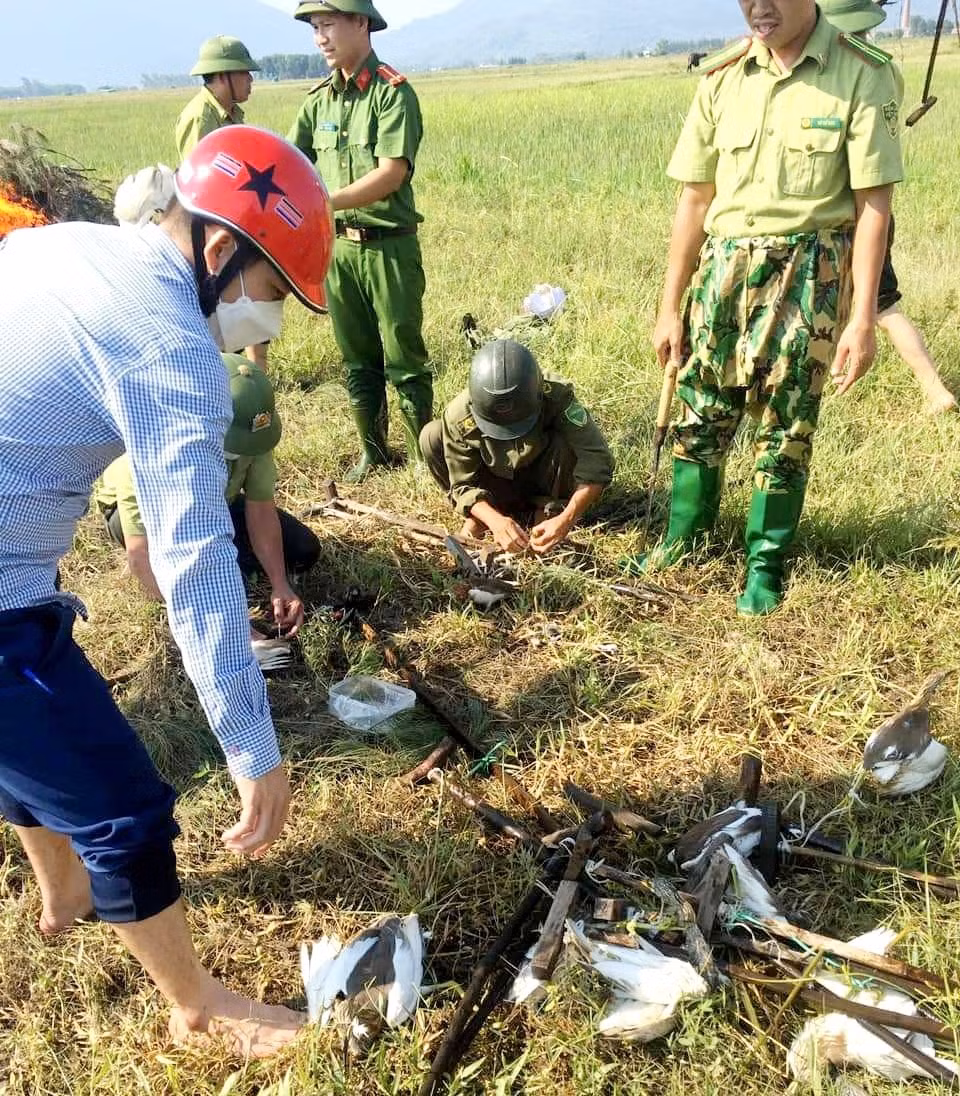 thao do hang ngan tu diem bay chim tu nhien di cu o ha tinh hinh 14