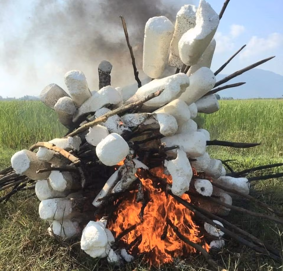 thao do hang ngan tu diem bay chim tu nhien di cu o ha tinh hinh 16