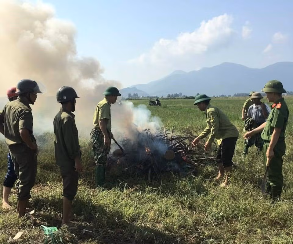 thao do hang ngan tu diem bay chim tu nhien di cu o ha tinh hinh 3
