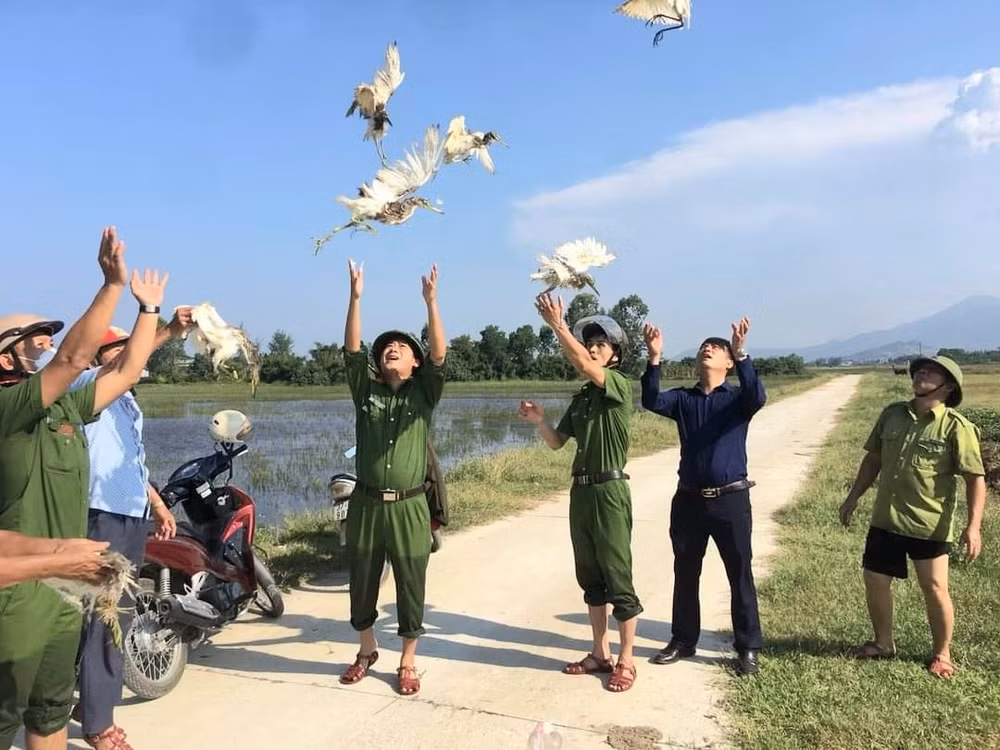 thao do hang ngan tu diem bay chim tu nhien di cu o ha tinh hinh 4