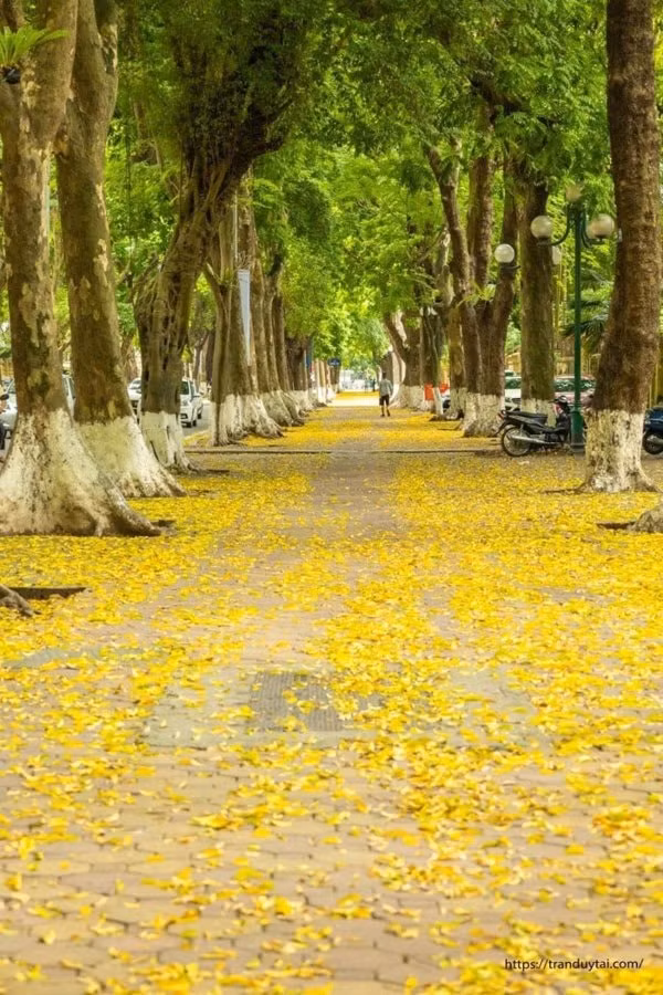 nhung khoanh khac dep nao long mua thu ha noi hinh 3